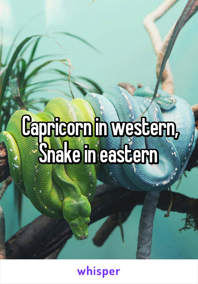 Capricorn in western,
Snake in eastern 