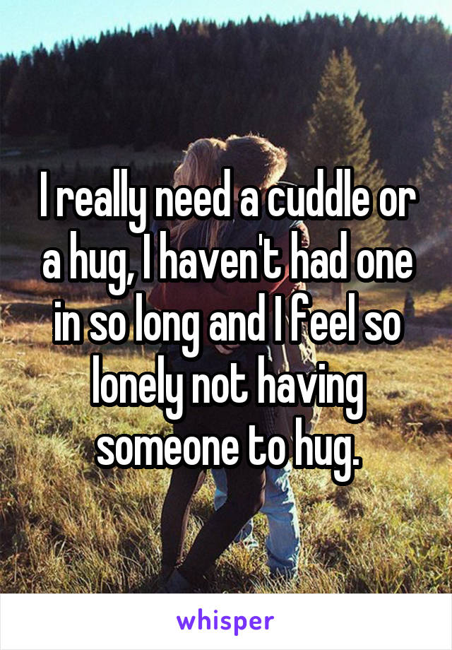 I really need a cuddle or a hug, I haven't had one in so long and I feel so lonely not having someone to hug.