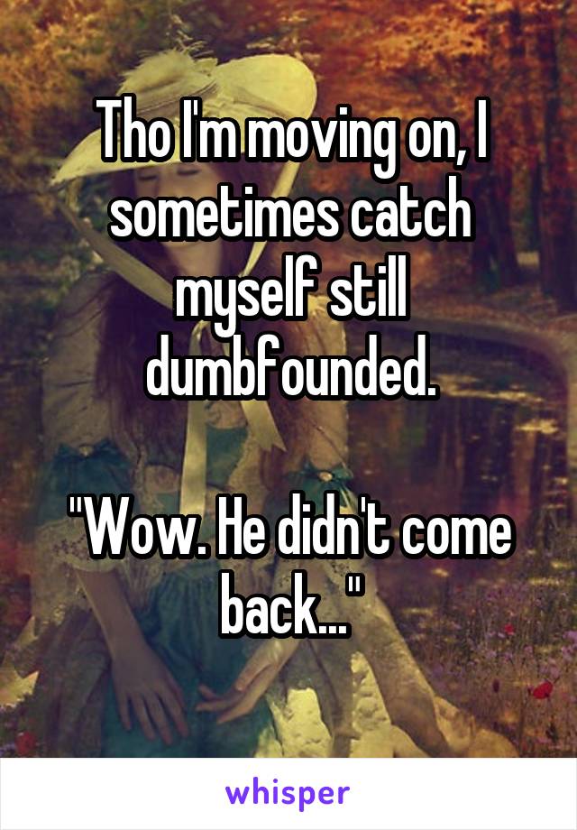 Tho I'm moving on, I sometimes catch myself still dumbfounded.

"Wow. He didn't come back..."
