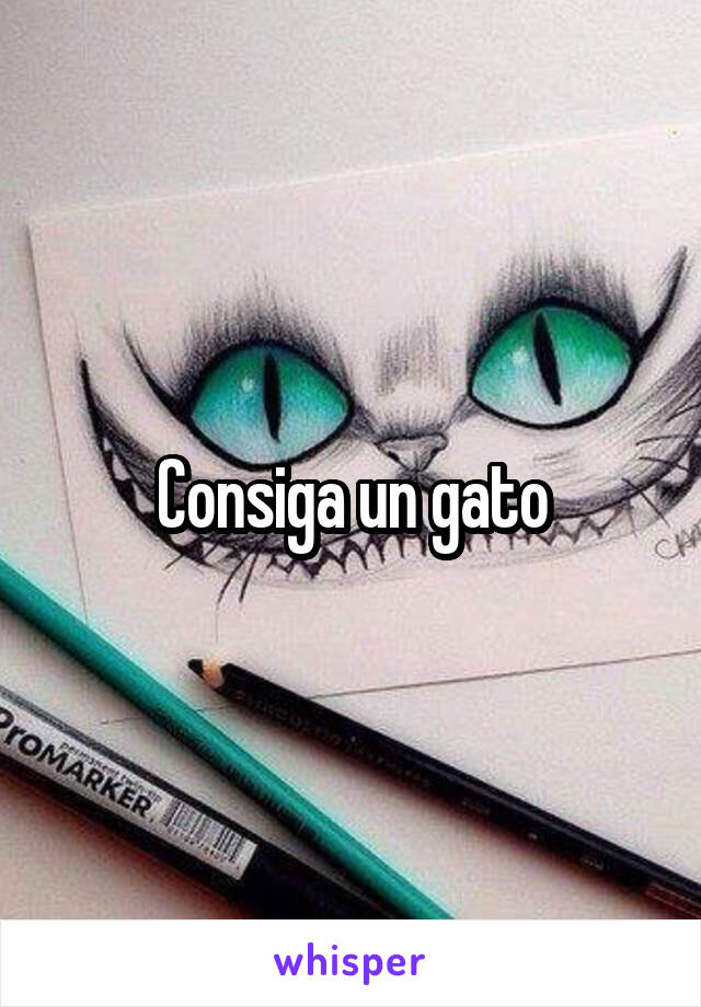 Consiga un gato