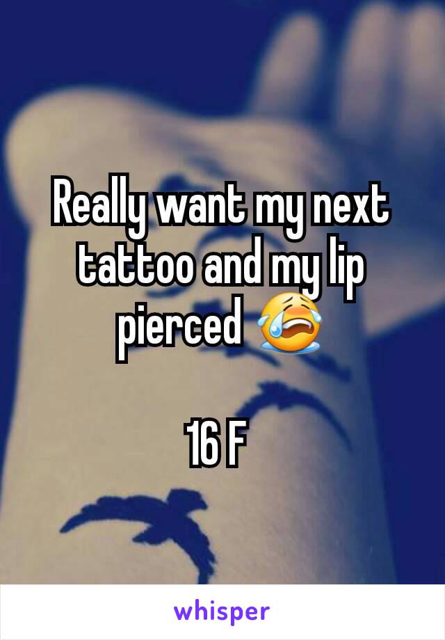 Really want my next tattoo and my lip pierced 😭

16 F 