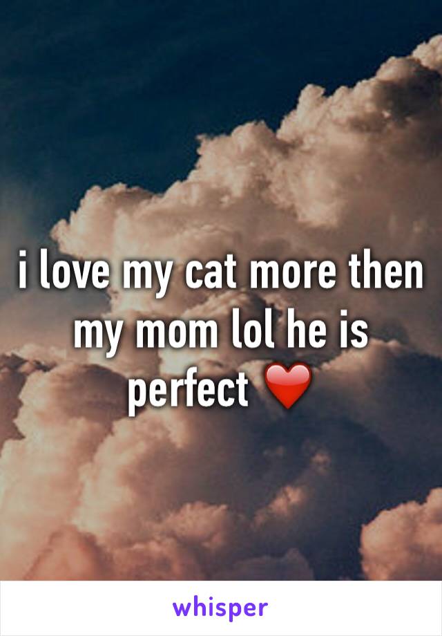 i love my cat more then my mom lol he is perfect ❤️