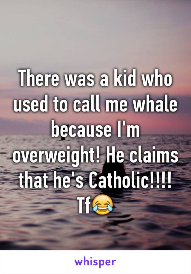 There was a kid who used to call me whale because I'm overweight! He claims that he's Catholic!!!! Tf😂