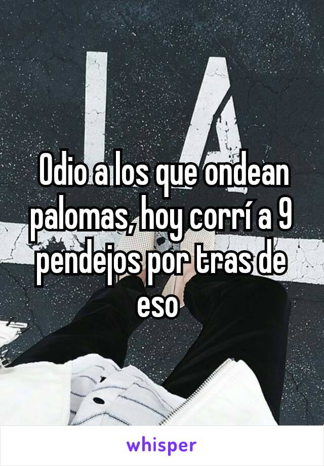  Odio a los que ondean palomas, hoy corrí a 9 pendejos por tras de eso 