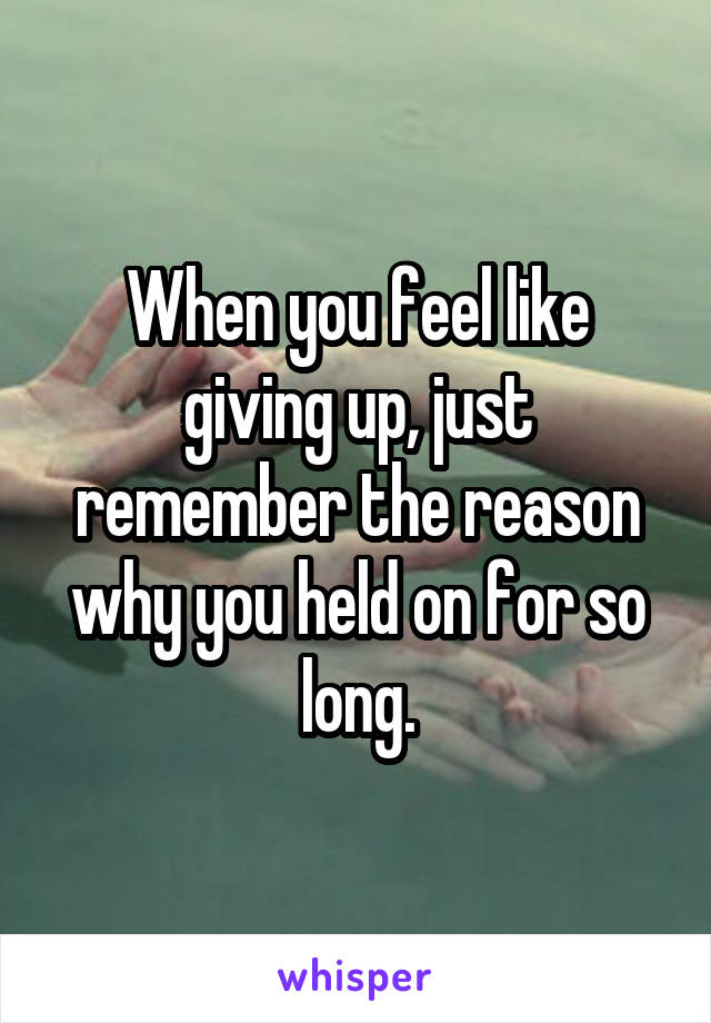 When you feel like giving up, just remember the reason why you held on for so long.