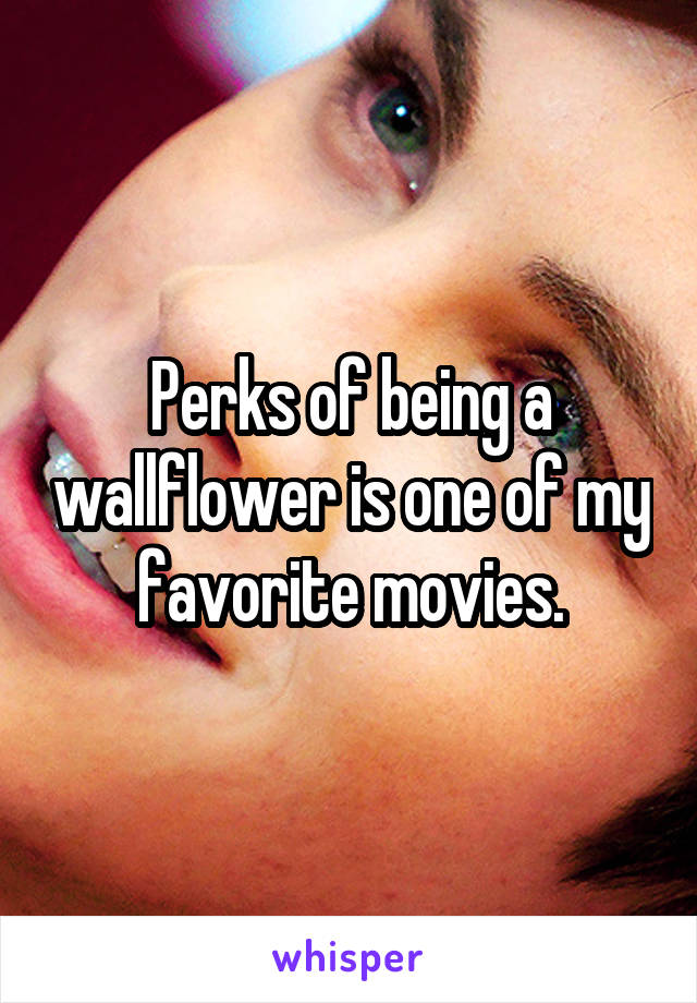 Perks of being a wallflower is one of my favorite movies.