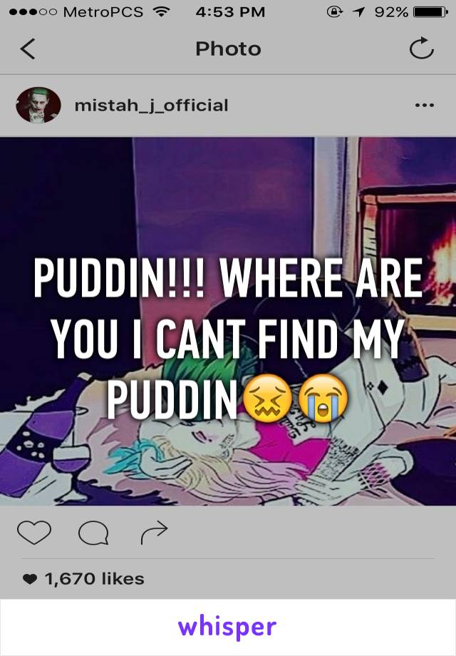 PUDDIN!!! WHERE ARE YOU I CANT FIND MY PUDDIN😖😭