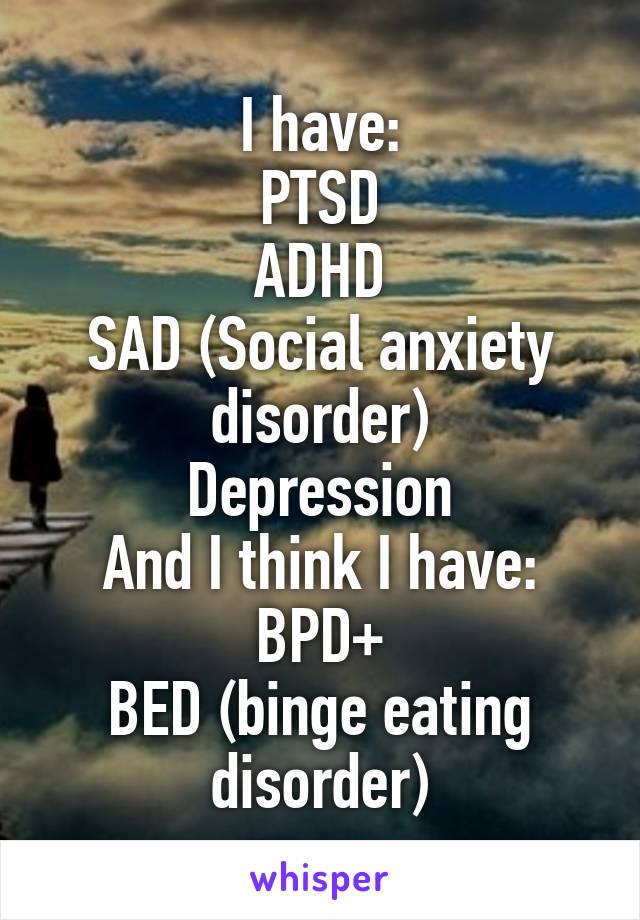 I have:
PTSD
ADHD
SAD (Social anxiety disorder)
Depression
And I think I have:
BPD+
BED (binge eating disorder)