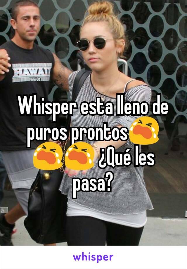 Whisper esta lleno de puros prontos😭😭😭 ¿Qué les pasa?