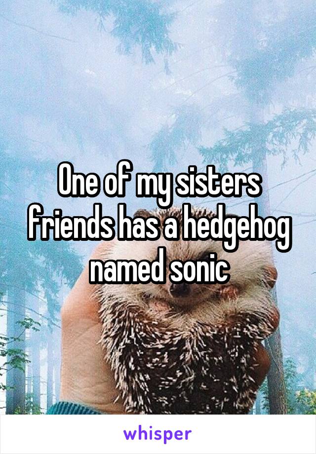 One of my sisters friends has a hedgehog named sonic