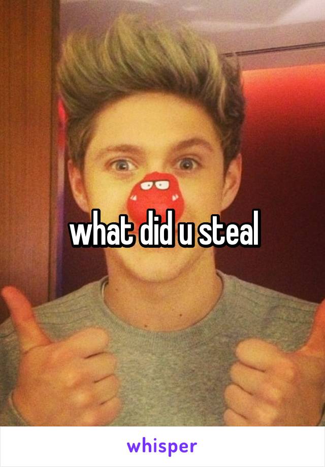 what did u steal