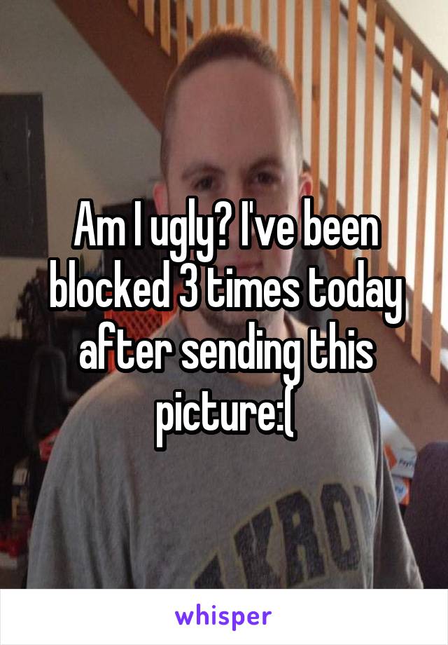 Am I ugly? I've been blocked 3 times today after sending this picture:(