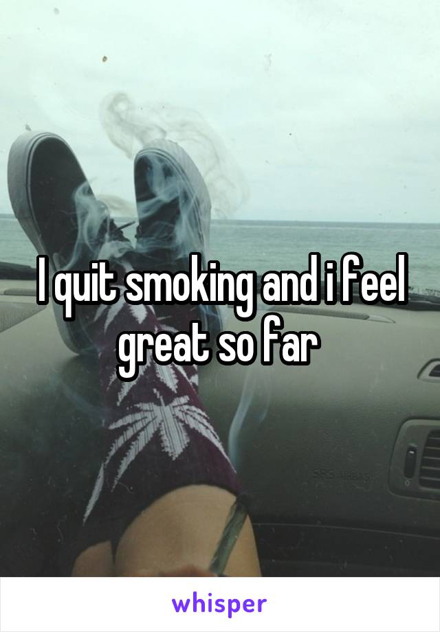 I quit smoking and i feel great so far 