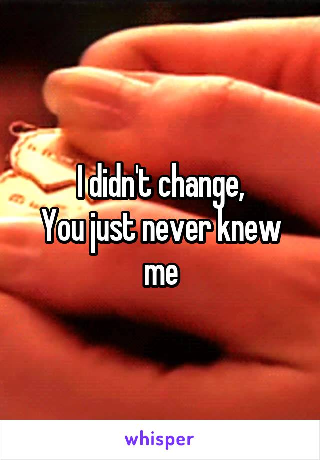 I didn't change,
You just never knew me