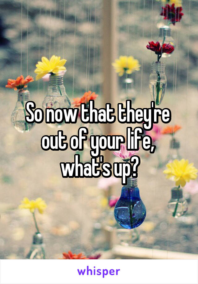 So now that they're  out of your life, 
what's up?