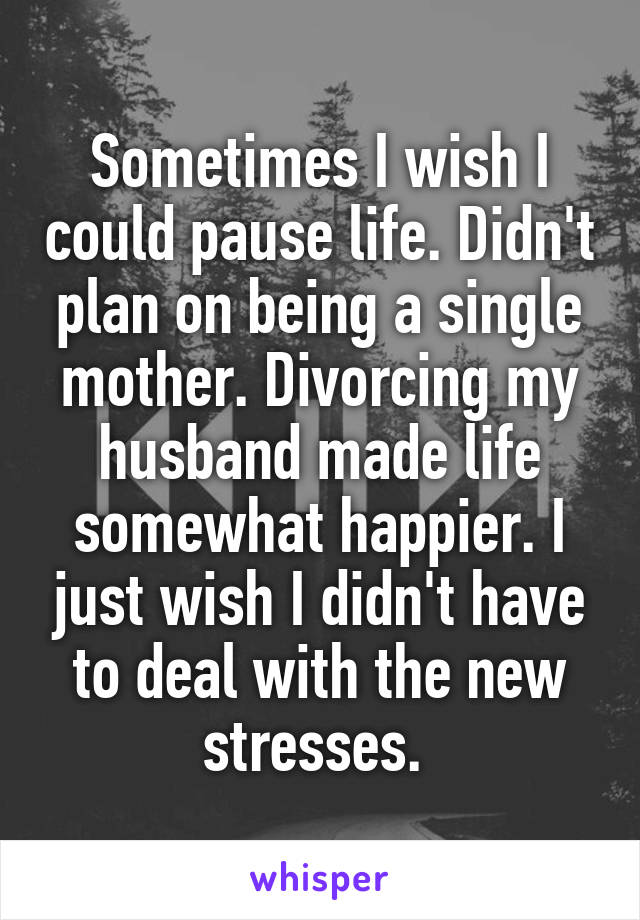 Sometimes I wish I could pause life. Didn't plan on being a single mother. Divorcing my husband made life somewhat happier. I just wish I didn't have to deal with the new stresses. 