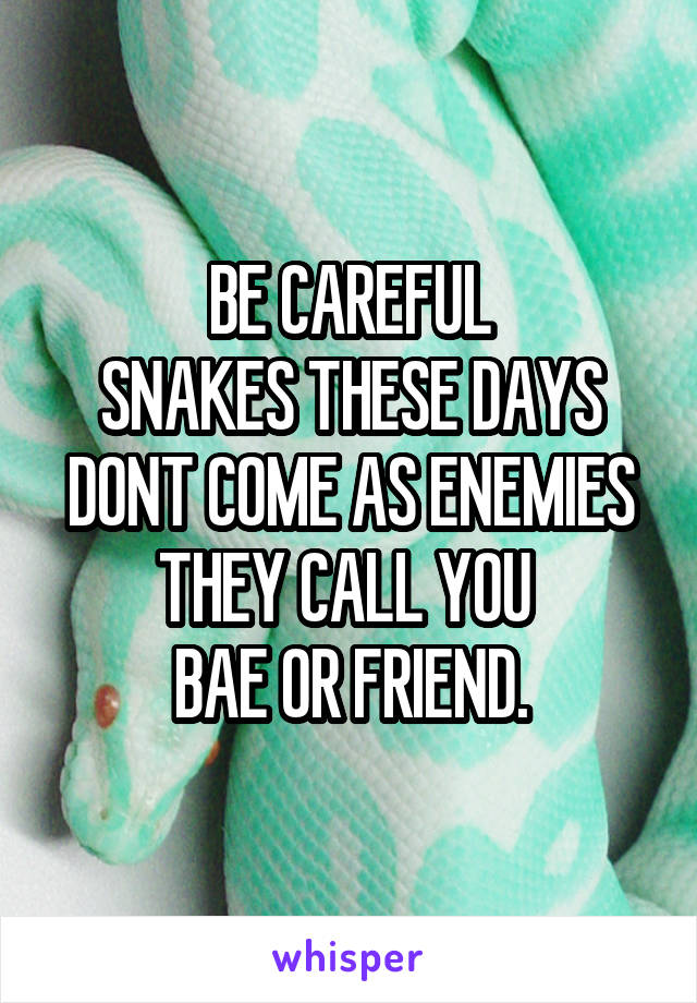 BE CAREFUL
SNAKES THESE DAYS
DONT COME AS ENEMIES
THEY CALL YOU 
BAE OR FRIEND.