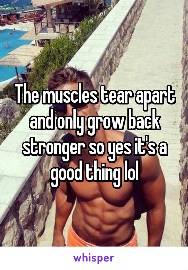 The muscles tear apart and only grow back stronger so yes it's a good thing lol