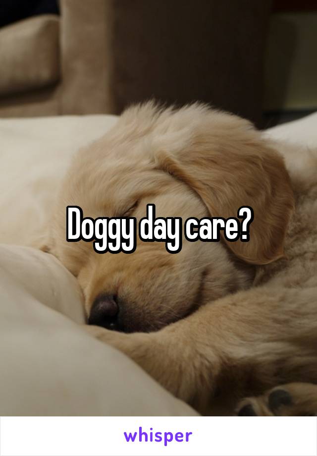 Doggy day care?