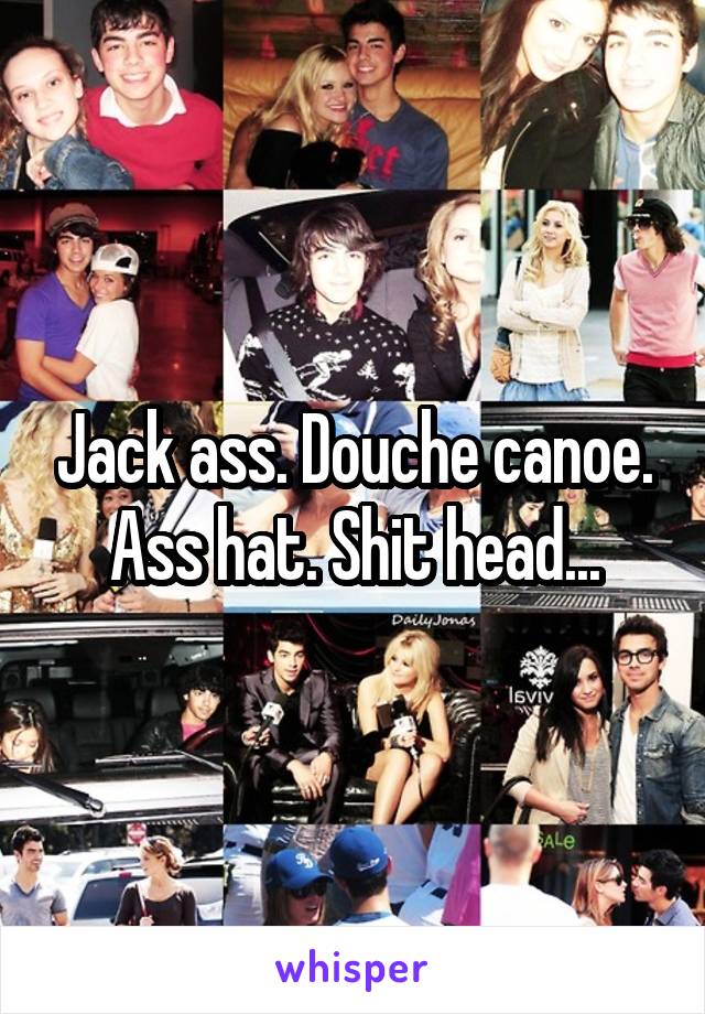 Jack ass. Douche canoe. Ass hat. Shit head...