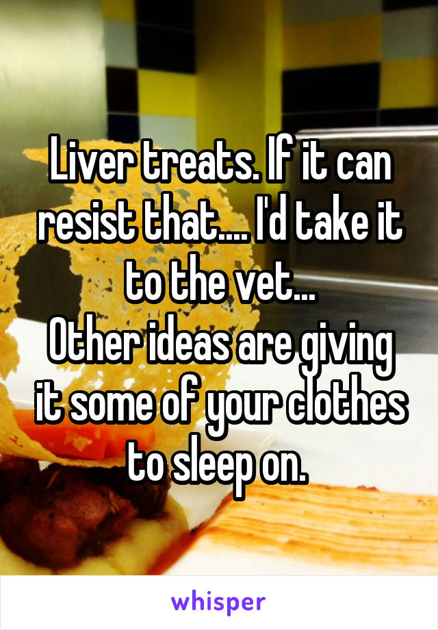 Liver treats. If it can resist that.... I'd take it to the vet...
Other ideas are giving it some of your clothes to sleep on. 