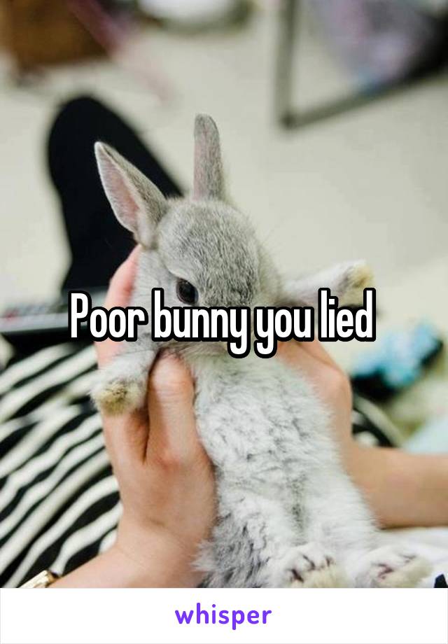 Poor bunny you lied 