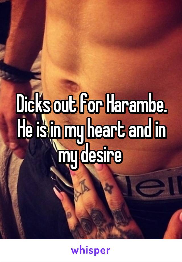 Dicks out for Harambe. He is in my heart and in my desire 