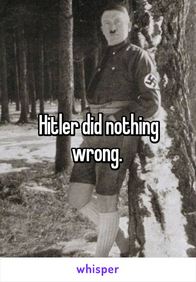 Hitler did nothing wrong. 