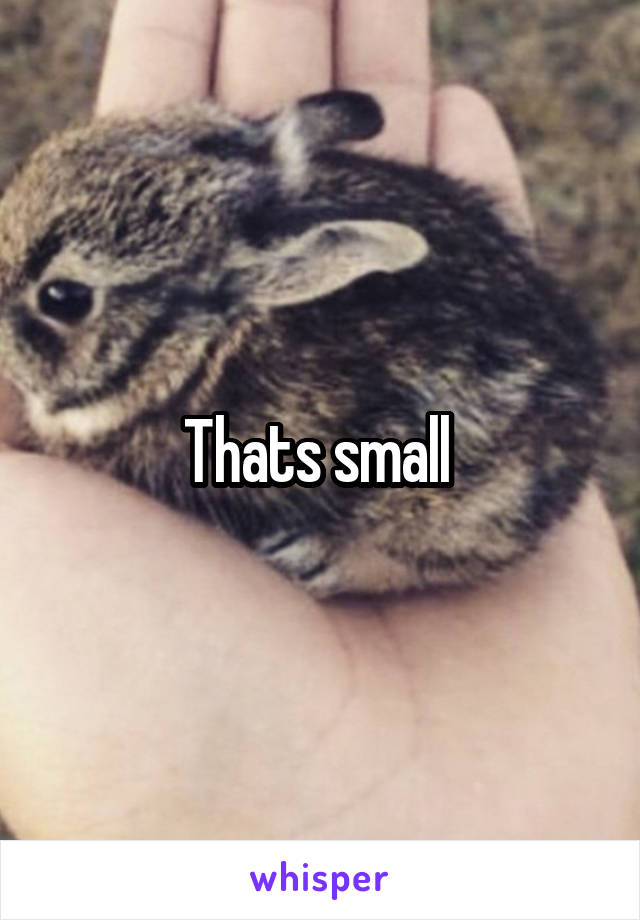 Thats small 