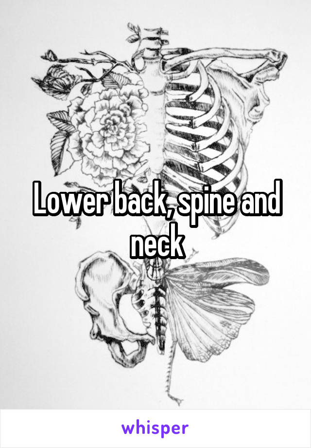 Lower back, spine and neck