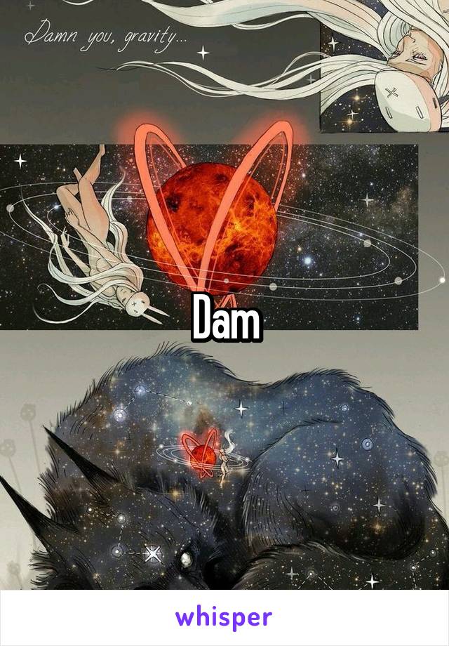 Dam