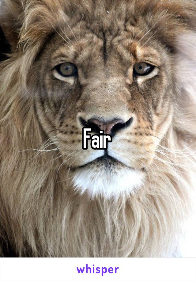 Fair 