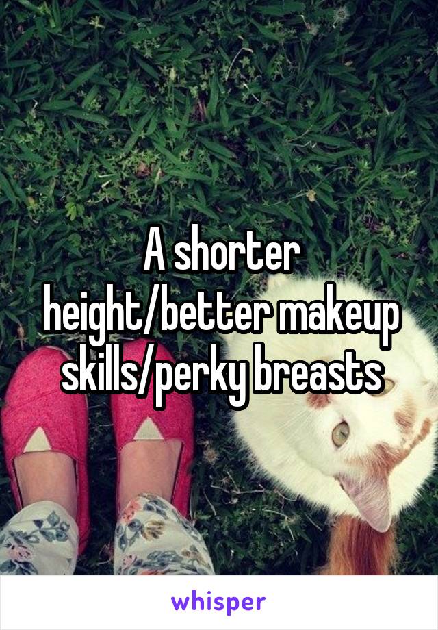 A shorter height/better makeup skills/perky breasts