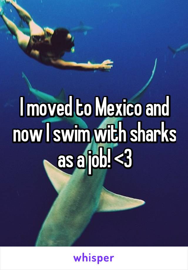 I moved to Mexico and now I swim with sharks as a job! <3