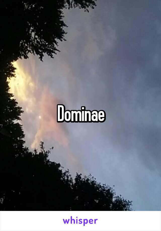 Dominae