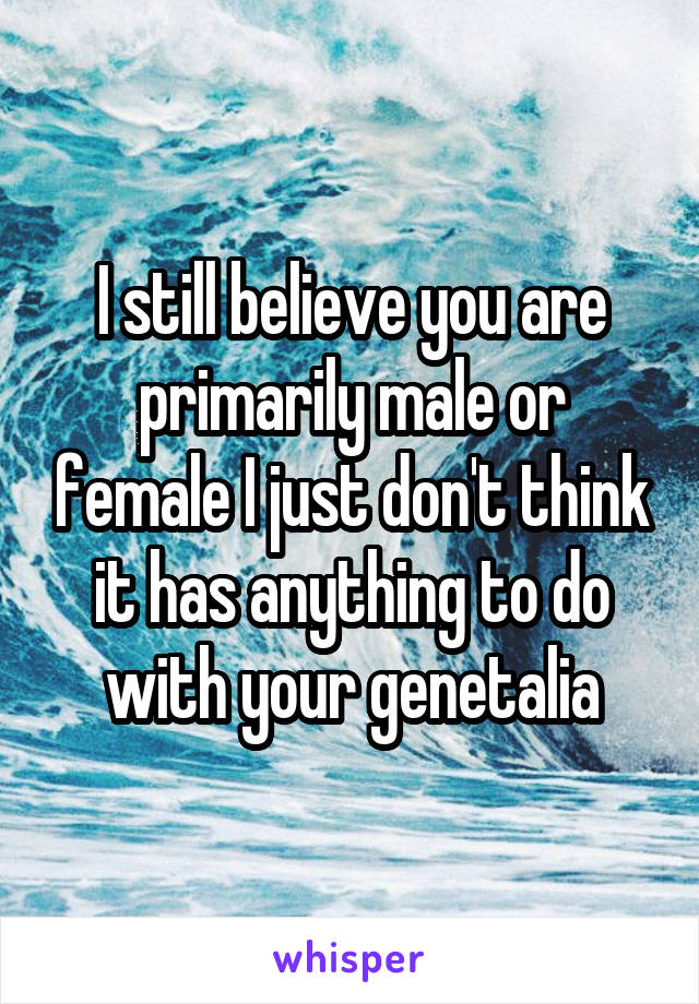 I still believe you are primarily male or female I just don't think it has anything to do with your genetalia
