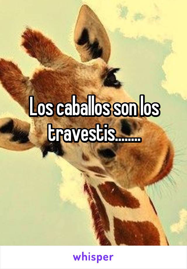 Los caballos son los travestis........
