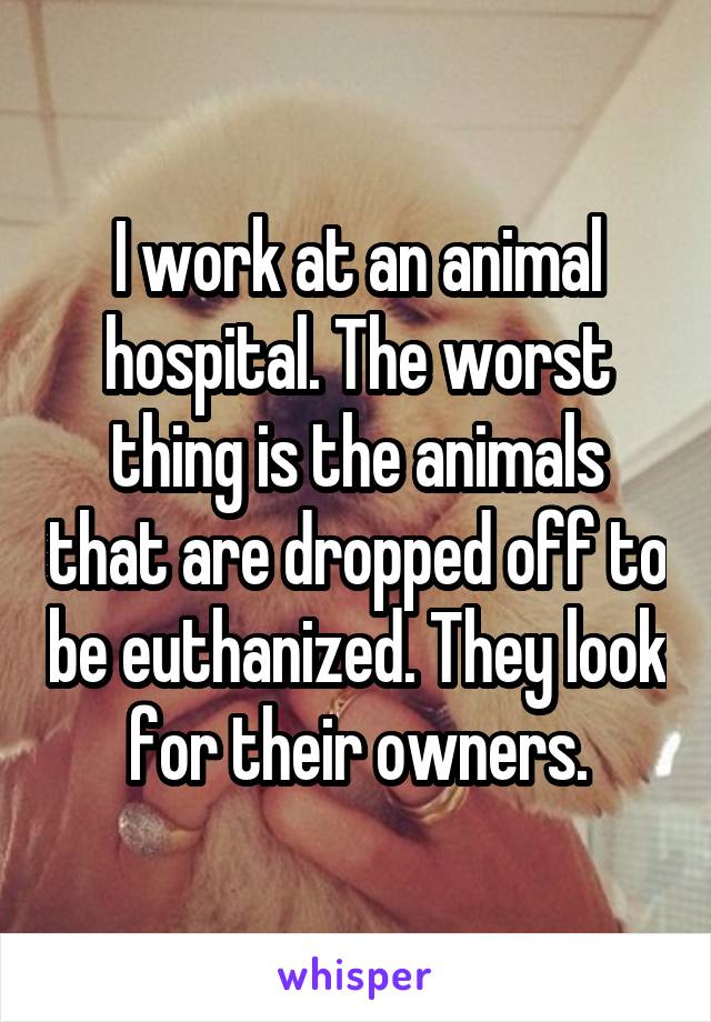 I work at an animal hospital. The worst thing is the animals that are dropped off to be euthanized. They look for their owners.