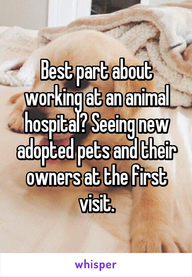 Best part about working at an animal hospital? Seeing new adopted pets and their owners at the first visit.