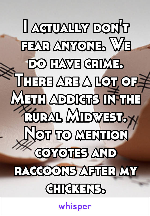 I actually don't fear anyone. We do have crime. There are a lot of Meth addicts in the rural Midwest. Not to mention coyotes and raccoons after my chickens.