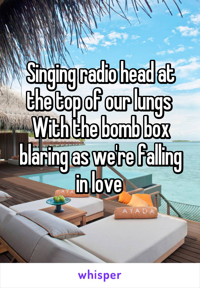 Singing radio head at the top of our lungs 
With the bomb box blaring as we're falling in love 
