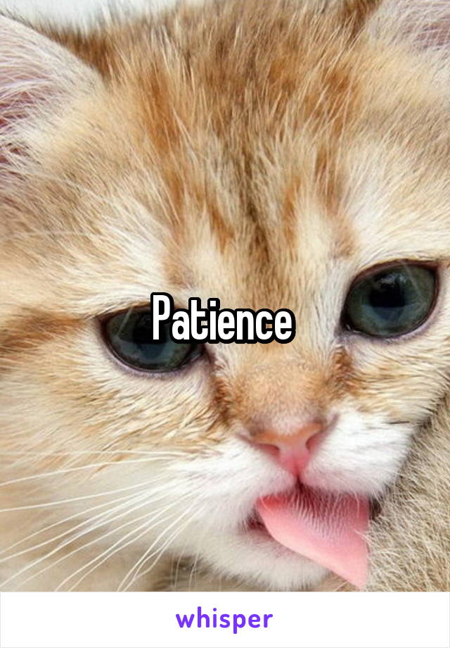 Patience 