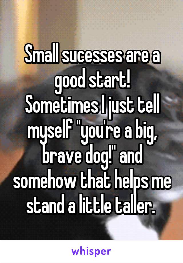 Small sucesses are a good start!
Sometimes I just tell myself "you're a big, brave dog!" and somehow that helps me stand a little taller. 