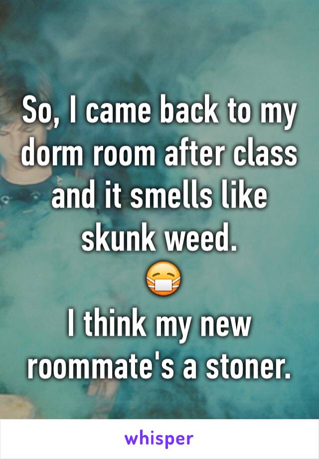 So, I came back to my dorm room after class and it smells like skunk weed. 
 😷
I think my new roommate's a stoner. 