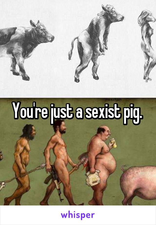 You're just a sexist pig. 