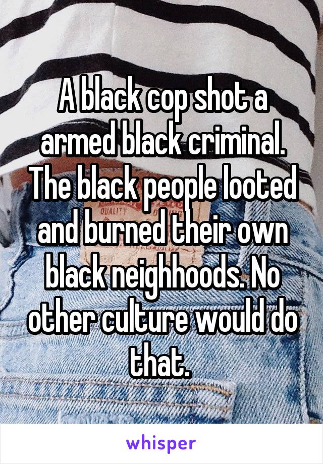 A black cop shot a armed black criminal. The black people looted and burned their own black neighhoods. No other culture would do that. 