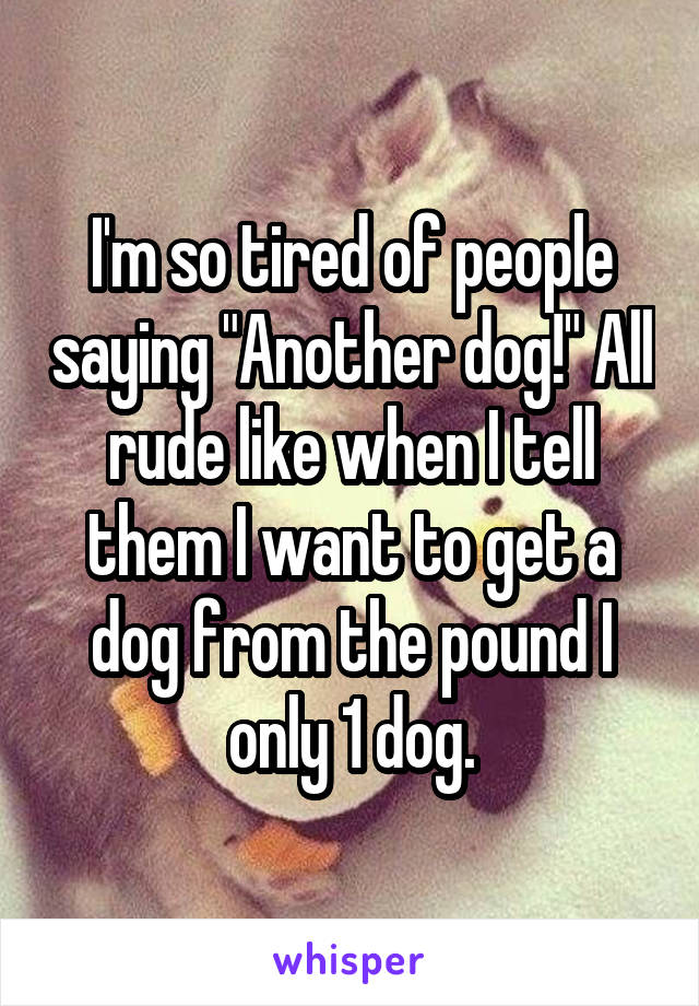 I'm so tired of people saying "Another dog!" All rude like when I tell them I want to get a dog from the pound I only 1 dog.