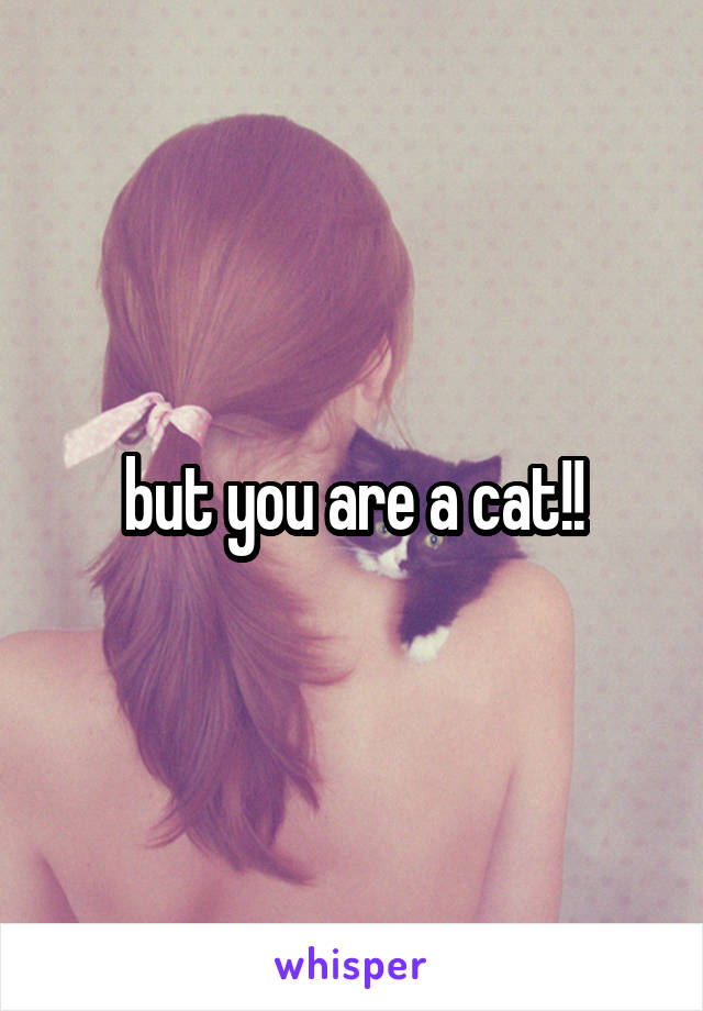 but you are a cat!!