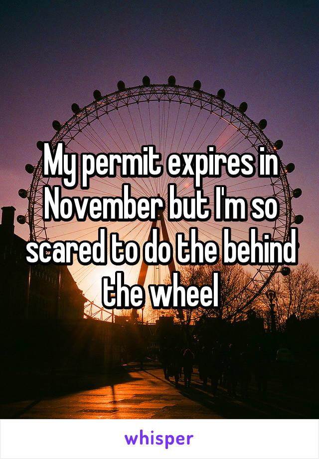 My permit expires in November but I'm so scared to do the behind the wheel