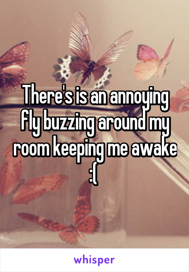 There's is an annoying fly buzzing around my room keeping me awake :( 